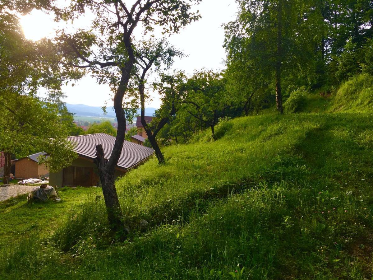 Soho Lodge Rasnov Extérieur photo
