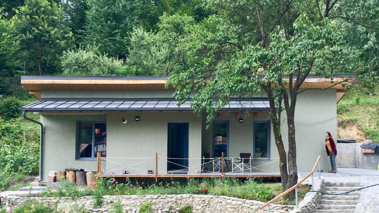 Soho Lodge Rasnov Extérieur photo