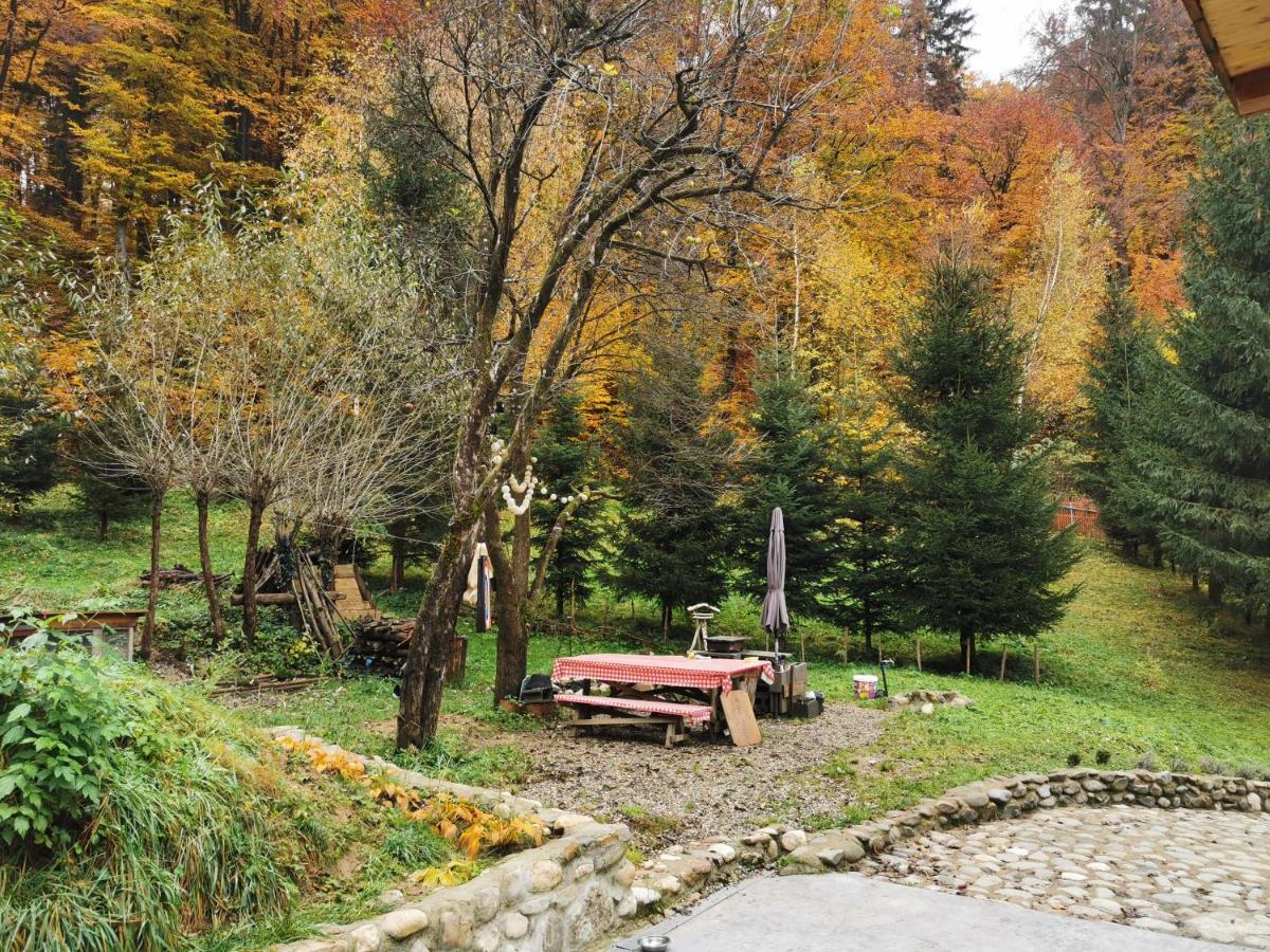 Soho Lodge Rasnov Extérieur photo