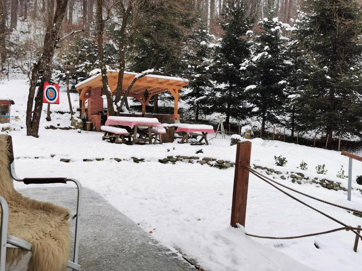 Soho Lodge Rasnov Extérieur photo