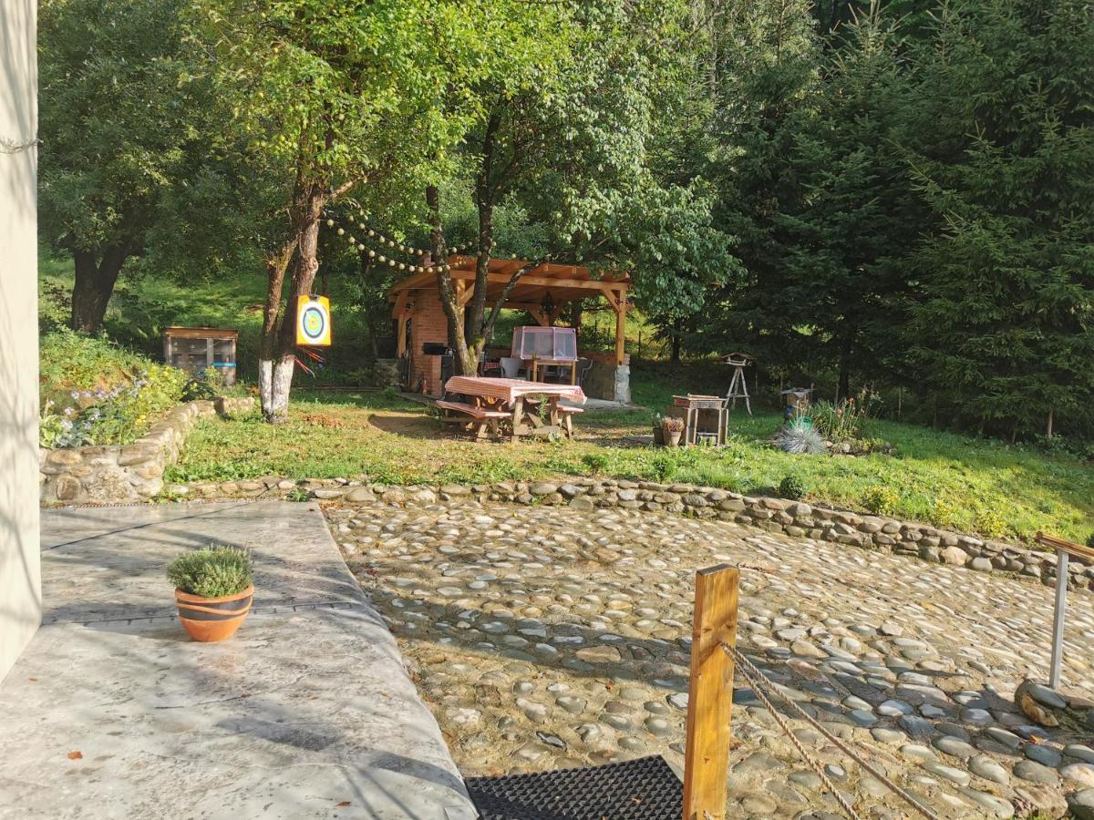 Soho Lodge Rasnov Extérieur photo