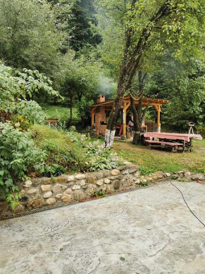 Soho Lodge Rasnov Extérieur photo