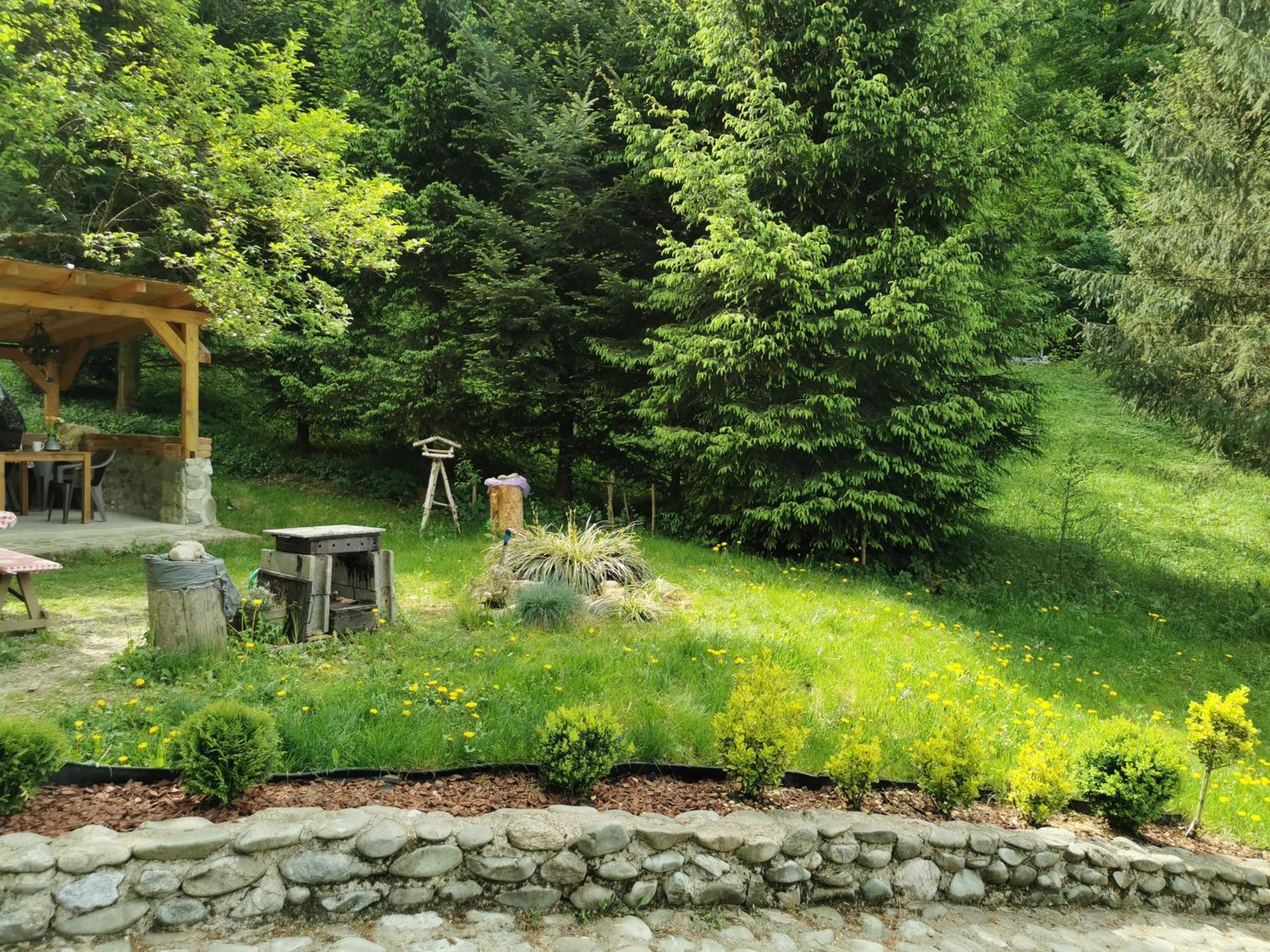 Soho Lodge Rasnov Extérieur photo